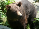 75-P1240809.JPG