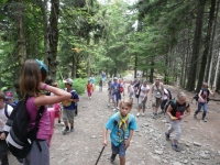 62-228-fundacja 1725.JPG
