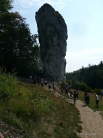 10-16-P1210713.JPG