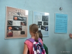 08-P1240560.JPG